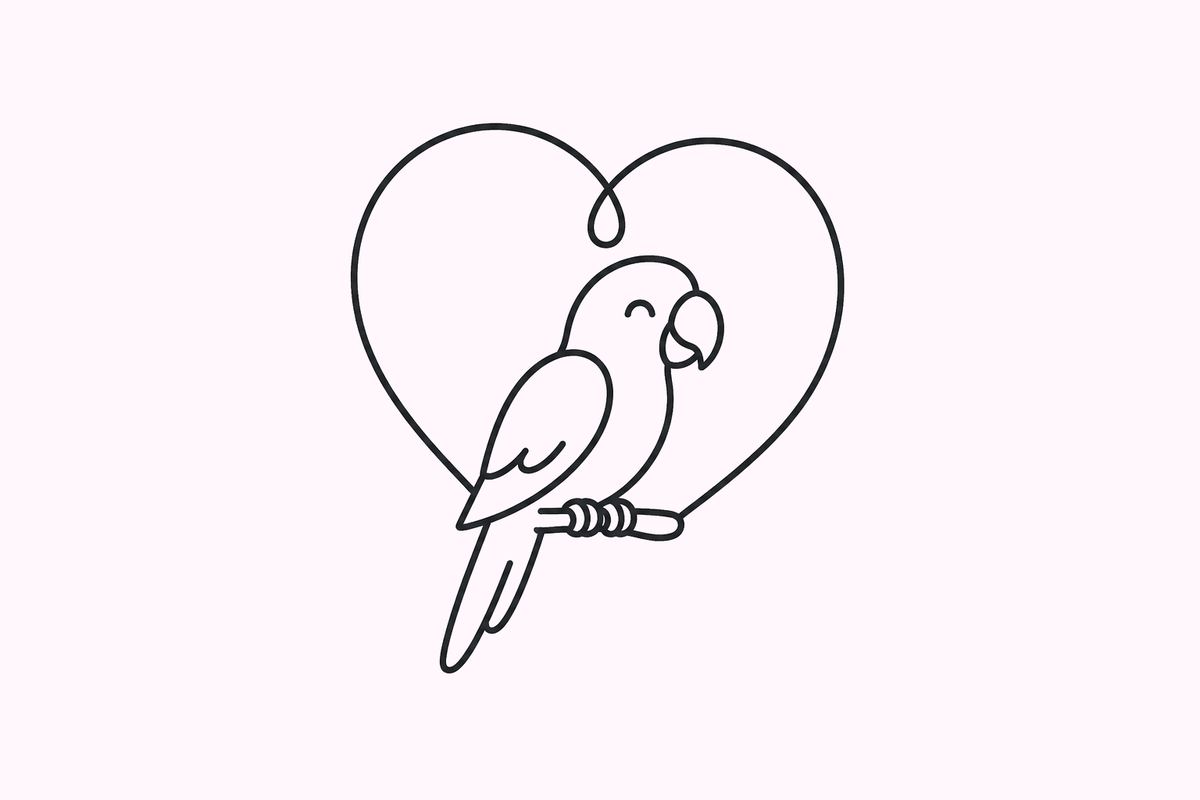 Bird guide illustration