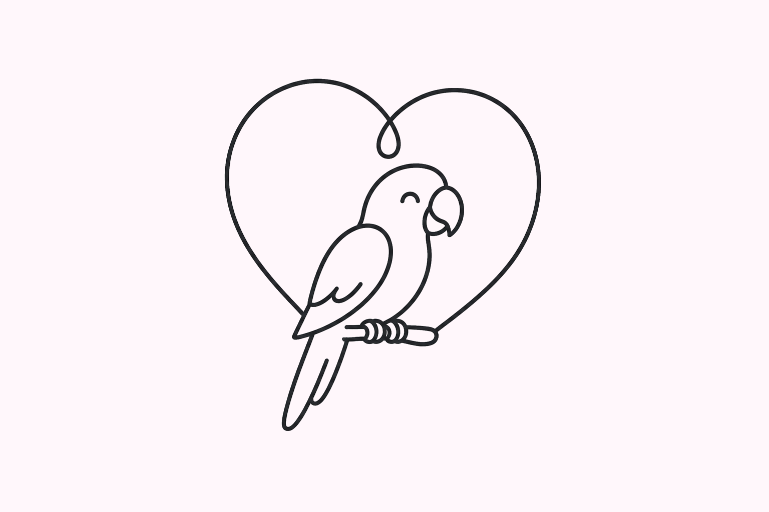 Bird guide illustration