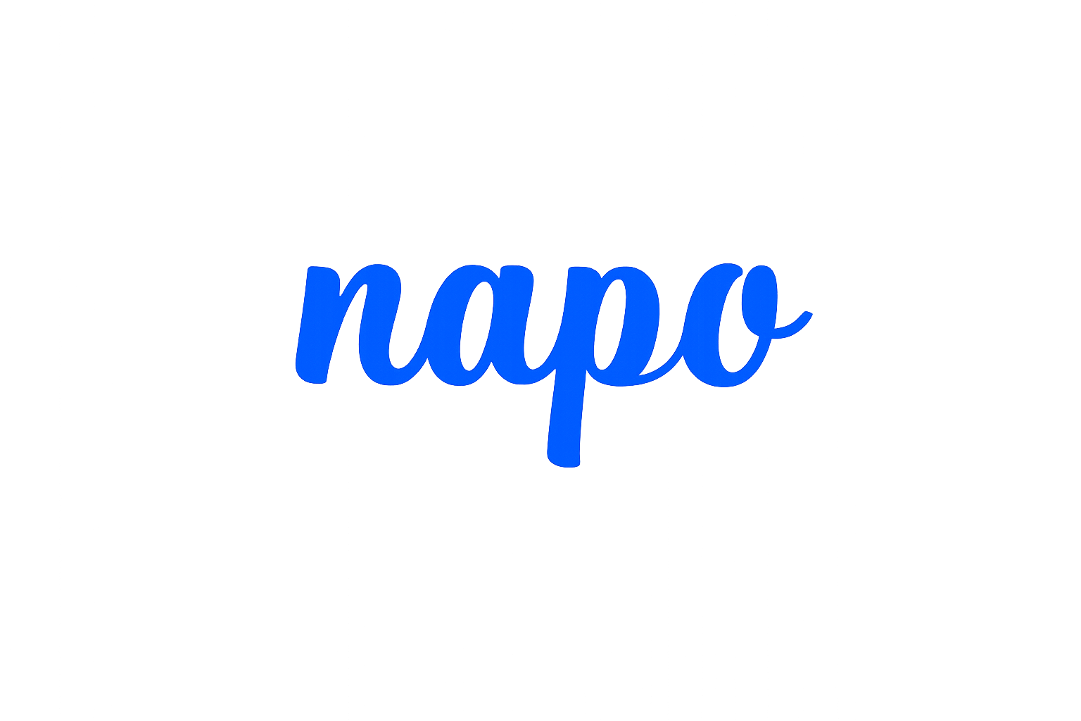 Napo logo